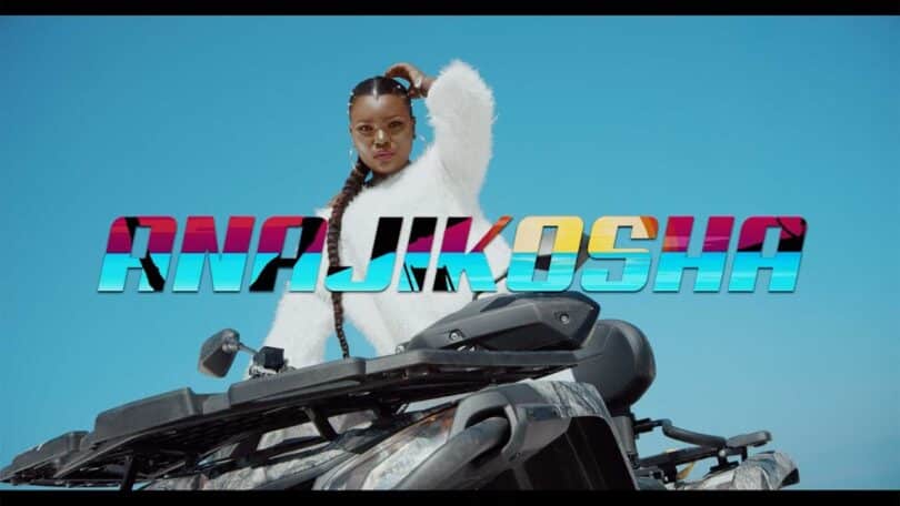 VIDEO Harmonize – Anajikosha MP4 DOWNLOAD