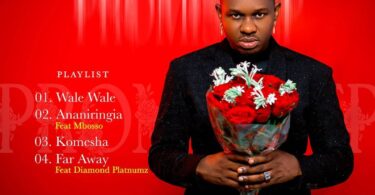 AUDIO Lava Lava - Wale Wale MP3 DOWNLOAD