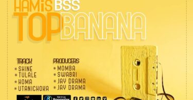 AUDIO Hamis Bss - Utanichoka MP3 DOWNLOAD