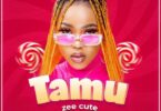 AUDIO Zee Cute – Tamu MP3 DOWNLOAD