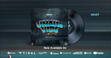 AUDIO Rapcha - Unaua Vibe Remix Ft Femi One, King Kaka MP3 DOWNLOAD