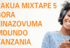 Download Diamond Platnumz’s Top Mixes on Mdundo