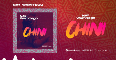 AUDIO Nay Wamitego - Chini MP3 DOWNLOAD