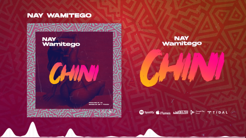 AUDIO Nay Wamitego - Chini MP3 DOWNLOAD