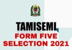 TAMISEMI: Form Five Selection 2021 (Waliochaguliwa Kidato Cha Tano 2021)