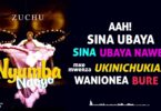 Zuchu – Nyumba Ndogo LYRICS