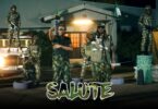 VIDEO Alikiba - Salute Ft Rudeboy MP4 DOWNLOAD