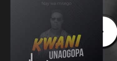 AUDIO Nay Wa Mitego - Kwani Unaogopa MP3 DOWNLOAD