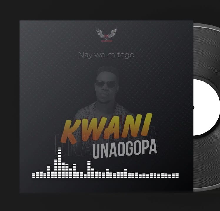 AUDIO Nay Wa Mitego - Kwani Unaogopa MP3 DOWNLOAD