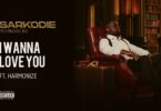 AUDIO Sarkodie - I Wanna Love You Ft. Harmonize MP3 DOWNLOAD