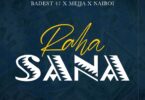 AUDIO Dj Seven - Raha Sana Ft Badest 47 x Mejja x Naiboi MP3 DOWNLOAD