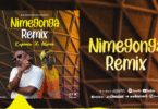 AUDIO Kayumba Ft Marioo - Nimegonga Remix MP3 DOWNLOAD