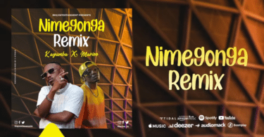 AUDIO Kayumba Ft Marioo - Nimegonga Remix MP3 DOWNLOAD