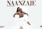 AUDIO Diamond Platnumz - Naanzaje MP3 DOWNLOAD