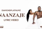 Naanzaje Lyric Video - Diamond Platnumz MP4 DOWNLOAD