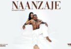 AUDIO Dogo Charlie - Naanzaje Parody MP3 DOWNLOAD