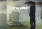 VIDEO Nay Wamitego - Baba Ft Mtafya MP4 DOWNLOAD