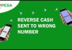 How to reverse M-pesa