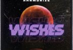 Harmonize - Wishes LYRICS