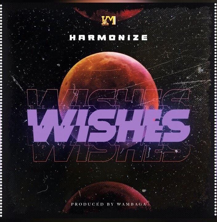 Harmonize - Wishes LYRICS