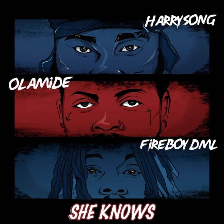 HarrySong – She Knows LYRICS Ft. Olamide X Fireboy DML