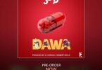 AUDIO Sat-B - Dawa MP3 DOWNLOAD