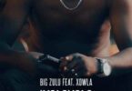 AUDIO Big Zulu - Ivolovolo Ft. Xowla MP3 DOWNLOAD