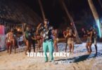 VIDEO Bruce Melodie – Totally Crazy Ft. Harmonize MP4 DOWNLOAD