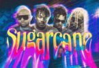 AUDIO Darkoo - Sugarcane (Remix) Ft. Camidoh X King Promise X Mayorkun MP3 DOWNLOAD