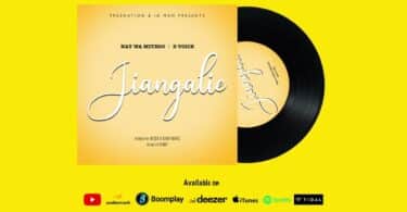 D Voice Ft. Nay Wa Mitego - Jiangalie