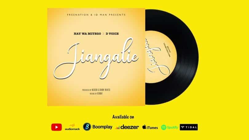 D Voice Ft. Nay Wa Mitego - Jiangalie