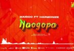 LYRICS VIDEO LYRICS VIDEO: Marioo Ft. Harmonize - Naogopa MP4 DOWNLOAD