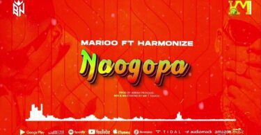 LYRICS VIDEO LYRICS VIDEO: Marioo Ft. Harmonize - Naogopa MP4 DOWNLOAD