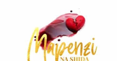 AUDIO Mr Nana - Mapenzi Na Shida MP3 DOWNLOAD