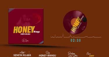 AUDIO Seneta Kilaka - Honey Wangu MP3 DOWNLOAD