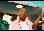 VIDEO Hamadai Ft. Alikiba – Niamini MP4 DOWNLOAD