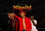 Hamadai Ft. Alikiba – Niamini LYRICS