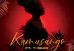 AUDIO Roberto Ft. T-Sean – Kamusango MP3 DOWNLOAD