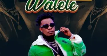 AUDIO Chege - Walete MP3 DOWNLOAD