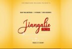 AUDIO Nay Wa Mitego Ft. D Voice X Eyoo Kenny - Jiangalie MP3 DOWNLOAD