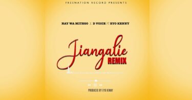 AUDIO Nay Wa Mitego Ft. D Voice X Eyoo Kenny - Jiangalie MP3 DOWNLOAD