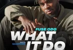 Fuse ODG – What It Do Lyrics