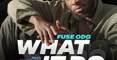 Fuse ODG – What It Do Lyrics