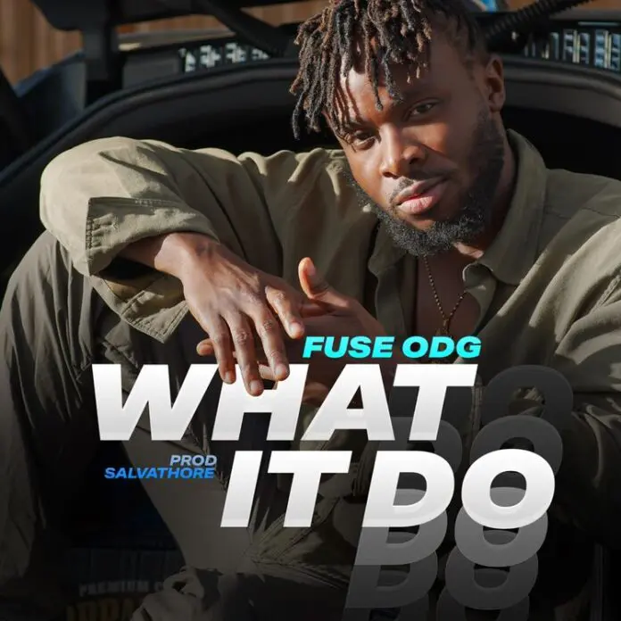 Fuse ODG – What It Do Lyrics