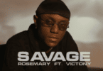 Rosemary Lyrics by Savage ft Victony