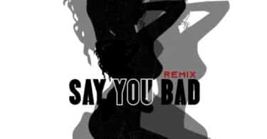 AUDIO Skales Ft. 1da Banton - Say You Bad (Remix) MP3 DOWNLOAD