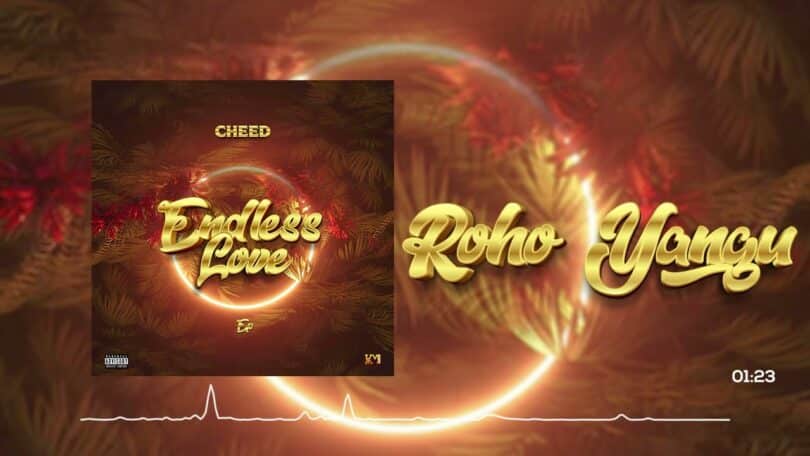 AUDIO Cheed - Roho Yangu MP3 DOWNLOAD