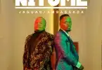 AUDIO Jaguar Ft Ambassada - Nitume MP3 DOWNLOAD