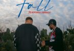 AUDIO Platform Tz Ft. Marioo - Fall MP3 DOWNLOAD