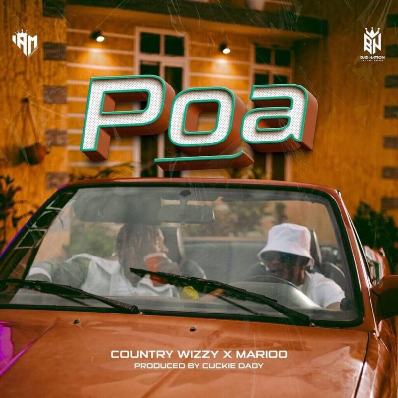 Country Wizzy - Poa LYRICS Ft Marioo